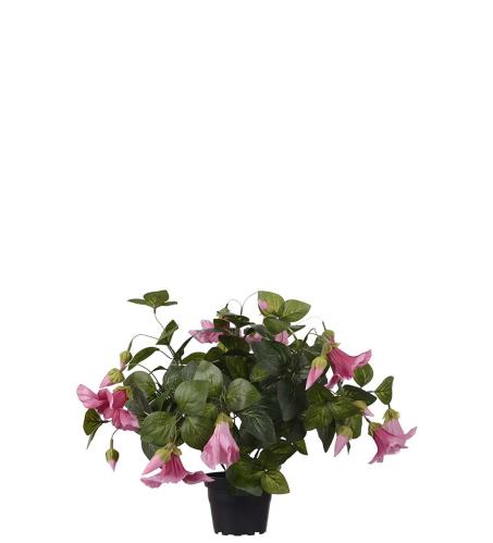 Petunia - Rosa - 30 cm - www.frokenfraken.se