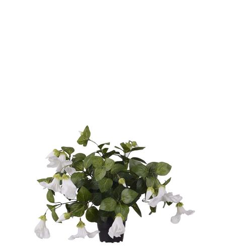 Petunia - Vit - 30 cm - www.frokenfraken.se