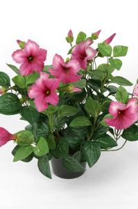 Petunia - Rosa - 30 cm - www.frokenfraken.se